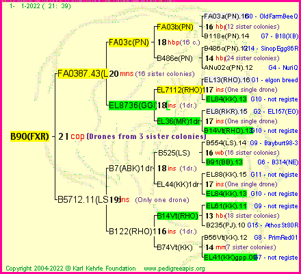 Pedigree of B90(FXR) :
four generations presented
it's temporarily unavailable, sorry!