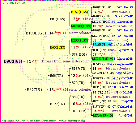 Pedigree of B90(HGS) :
four generations presented