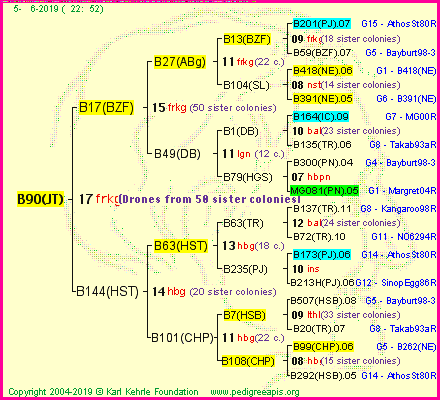 Pedigree of B90(JT) :
four generations presented<br />it's temporarily unavailable, sorry!