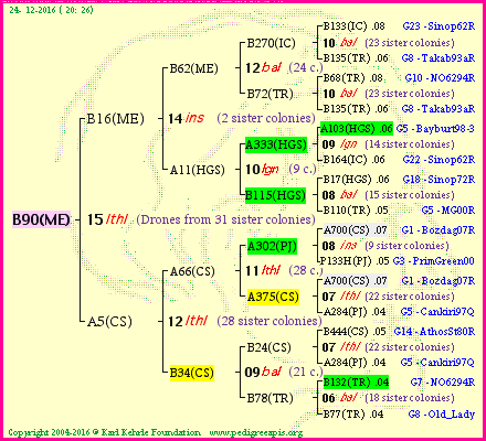 Pedigree of B90(ME) :
four generations presented