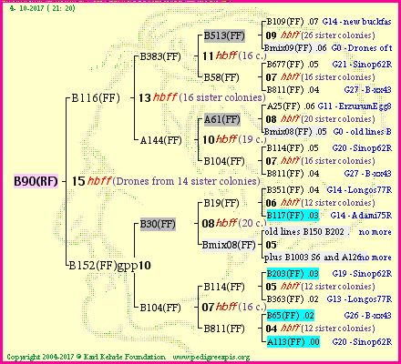 Pedigree of B90(RF) :
four generations presented