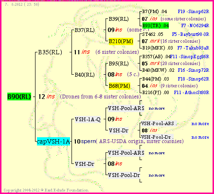 Pedigree of B90(RL) :
four generations presented