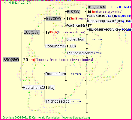 Pedigree of B90(SW) :
four generations presented
it's temporarily unavailable, sorry!