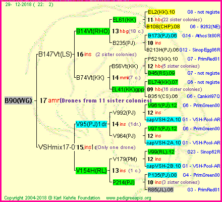 Pedigree of B90(WG) :
four generations presented
it's temporarily unavailable, sorry!