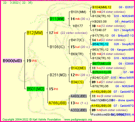 Pedigree of B900(MD) :
four generations presented
it's temporarily unavailable, sorry!