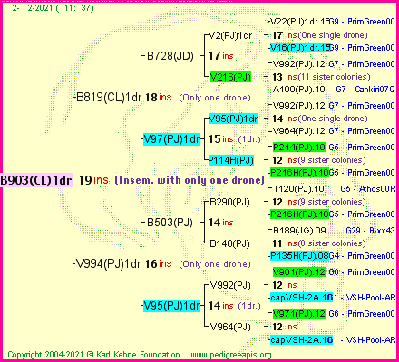 Pedigree of B903(CL)1dr :
four generations presented
it's temporarily unavailable, sorry!