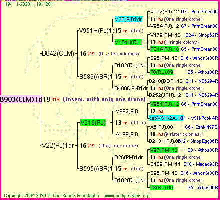 Pedigree of B903(CLM)1dr :
four generations presented
it's temporarily unavailable, sorry!