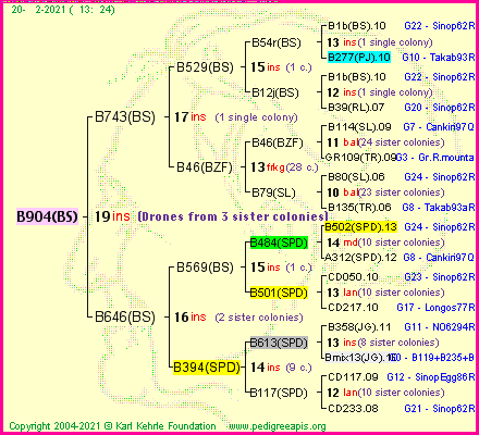 Pedigree of B904(BS) :
four generations presented
it's temporarily unavailable, sorry!