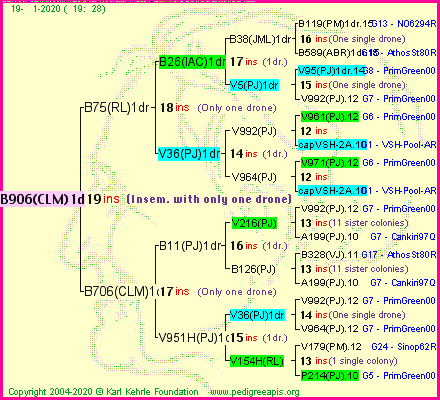 Pedigree of B906(CLM)1dr :
four generations presented
it's temporarily unavailable, sorry!