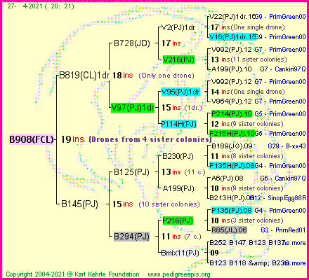 Pedigree of B908(FCL) :
four generations presented
it's temporarily unavailable, sorry!