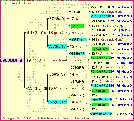 Pedigree of B908(JD)1dr :
four generations presented
it's temporarily unavailable, sorry!