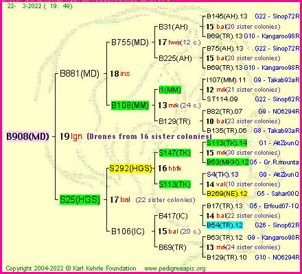 Pedigree of B908(MD) :
four generations presented
it's temporarily unavailable, sorry!