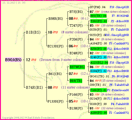 Pedigree of B90J(BS) :
four generations presented