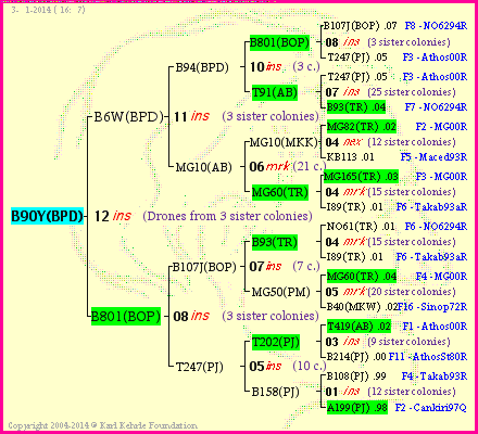 Pedigree of B90Y(BPD) :
four generations presented