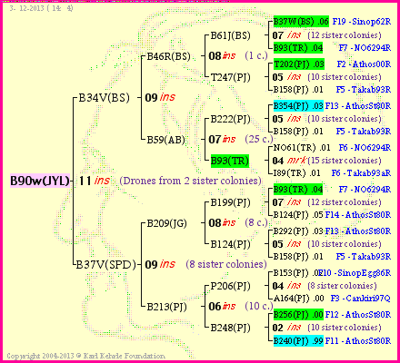 Pedigree of B90w(JYL) :
four generations presented