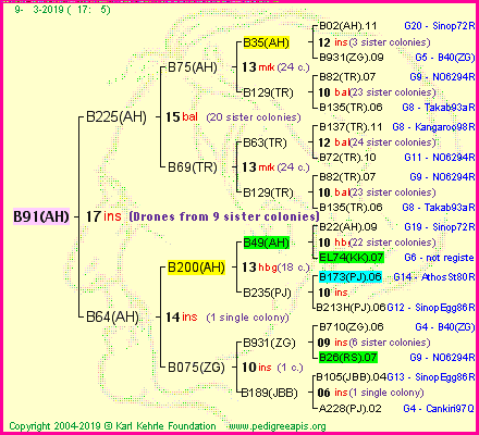 Pedigree of B91(AH) :
four generations presented
it's temporarily unavailable, sorry!
