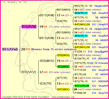 Pedigree of B91(AVM) :
four generations presented
it's temporarily unavailable, sorry!