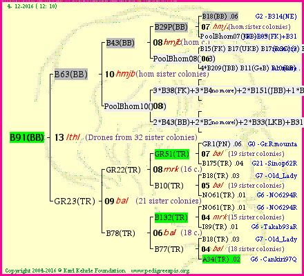 Pedigree of B91(BB) :
four generations presented<br />it's temporarily unavailable, sorry!