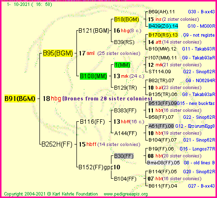 Pedigree of B91(BGM) :
four generations presented
it's temporarily unavailable, sorry!