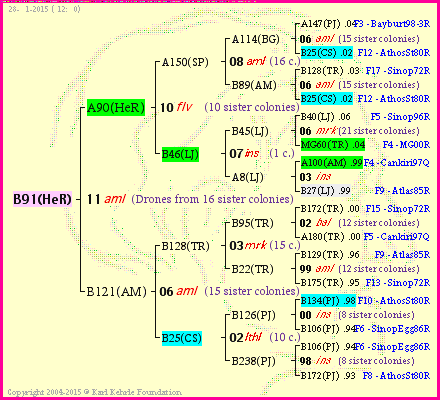 Pedigree of B91(HeR) :
four generations presented
it's temporarily unavailable, sorry!