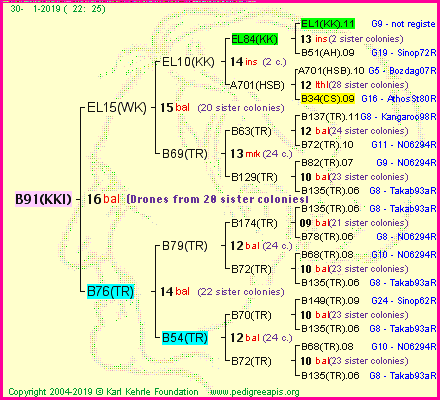 Pedigree of B91(KKI) :
four generations presented<br />it's temporarily unavailable, sorry!