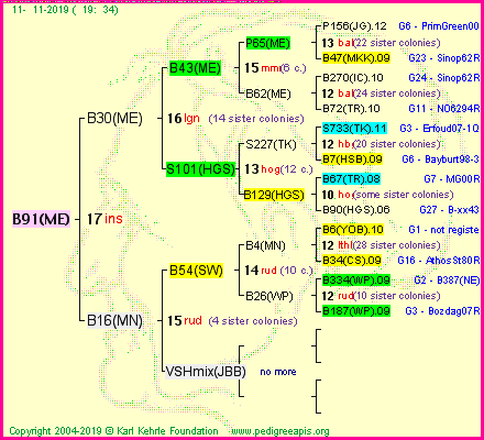 Pedigree of B91(ME) :
four generations presented
it's temporarily unavailable, sorry!