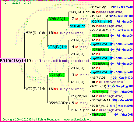 Pedigree of B910(CLM)1dr :
four generations presented<br />it's temporarily unavailable, sorry!