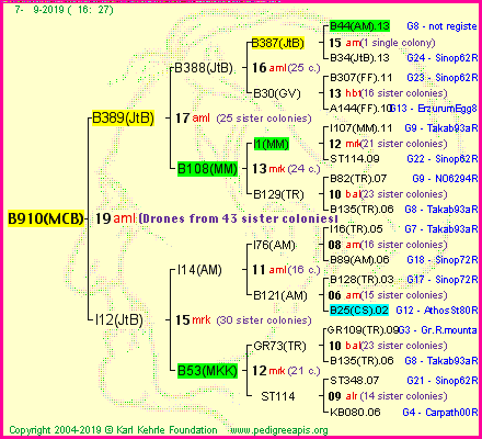 Pedigree of B910(MCB) :
four generations presented
it's temporarily unavailable, sorry!