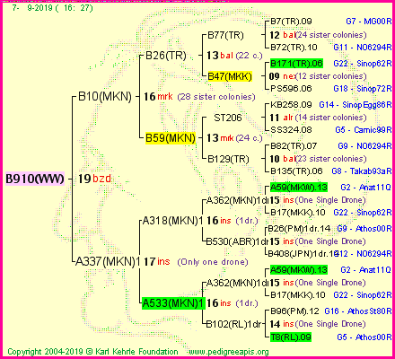 Pedigree of B910(WW) :
four generations presented
it's temporarily unavailable, sorry!