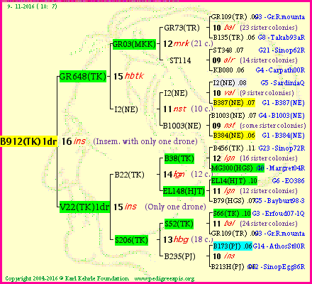 Pedigree of B912(TK)1dr :
four generations presented<br />it's temporarily unavailable, sorry!