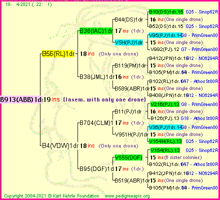 Pedigree of B913(ABB)1dr :
four generations presented
it's temporarily unavailable, sorry!