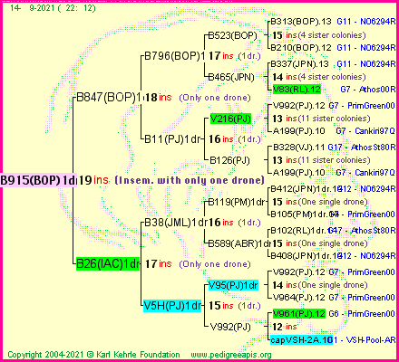 Pedigree of B915(BOP)1dr :
four generations presented
it's temporarily unavailable, sorry!