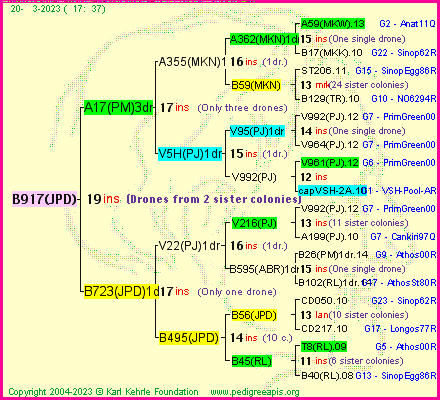 Pedigree of B917(JPD) :
four generations presented
it's temporarily unavailable, sorry!