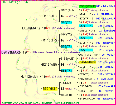 Pedigree of B917(MAK) :
four generations presented
it's temporarily unavailable, sorry!