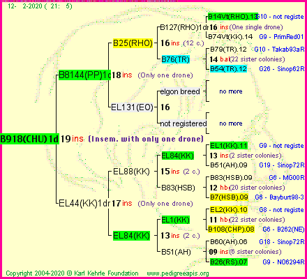 Pedigree of B918(CHU)1dr :
four generations presented
it's temporarily unavailable, sorry!