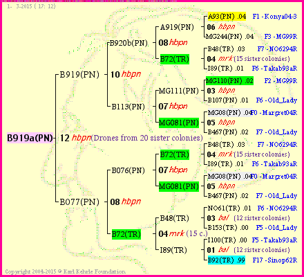 Pedigree of B919a(PN) :
four generations presented