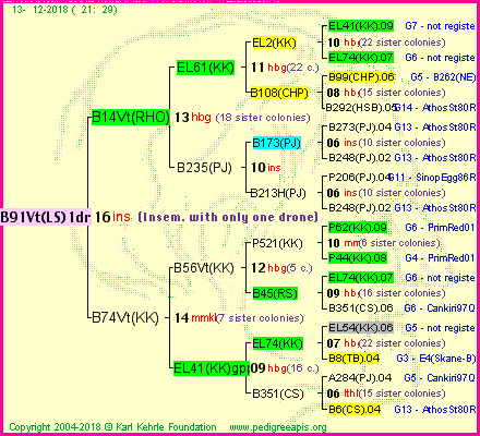 Pedigree of B91Vt(LS)1dr :
four generations presented<br />it's temporarily unavailable, sorry!