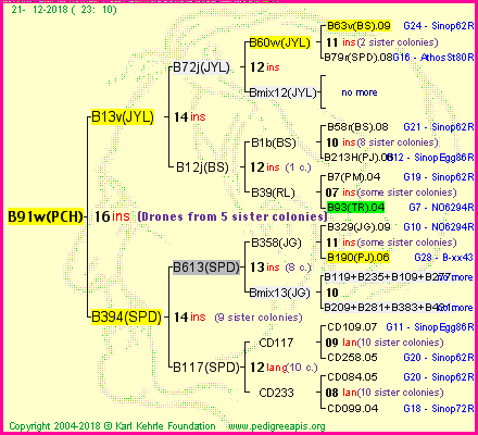 Pedigree of B91w(PCH) :
four generations presented<br />it's temporarily unavailable, sorry!