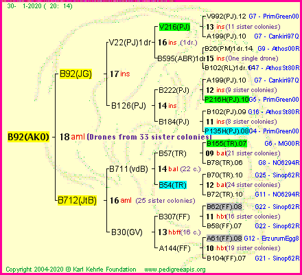 Pedigree of B92(AKO) :
four generations presented<br />it's temporarily unavailable, sorry!