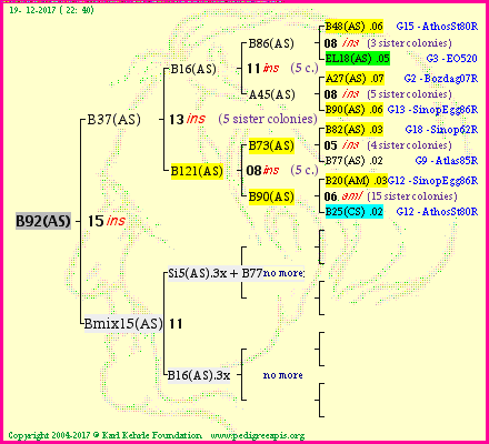 Pedigree of B92(AS) :
four generations presented
it's temporarily unavailable, sorry!