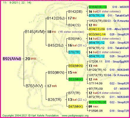 Pedigree of B92(AVM) :
four generations presented
it's temporarily unavailable, sorry!