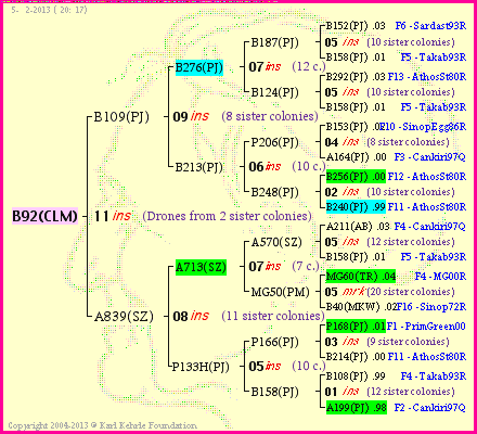 Pedigree of B92(CLM) :
four generations presented