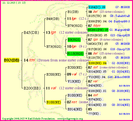 Pedigree of B92(DB) :
four generations presented<br />it's temporarily unavailable, sorry!