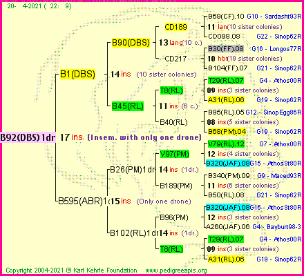 Pedigree of B92(DBS)1dr :
four generations presented
it's temporarily unavailable, sorry!