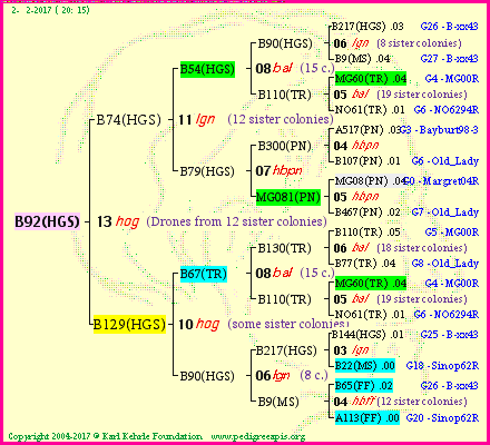 Pedigree of B92(HGS) :
four generations presented