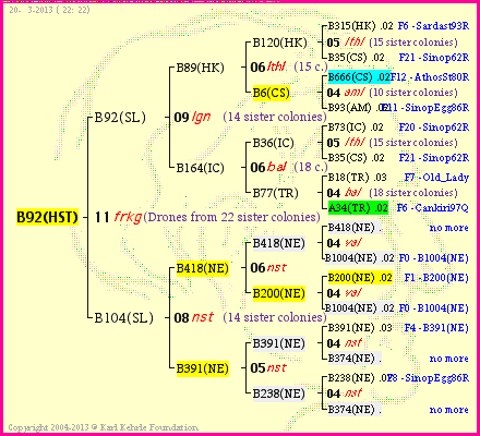 Pedigree of B92(HST) :
four generations presented