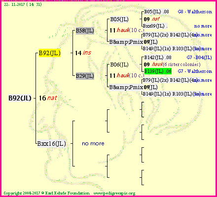 Pedigree of B92(JL) :
four generations presented