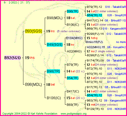 Pedigree of B92(SGS) :
four generations presented
it's temporarily unavailable, sorry!