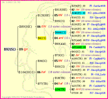 Pedigree of B92(SL) :
four generations presented