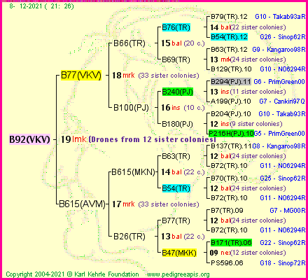 Pedigree of B92(VKV) :
four generations presented
it's temporarily unavailable, sorry!